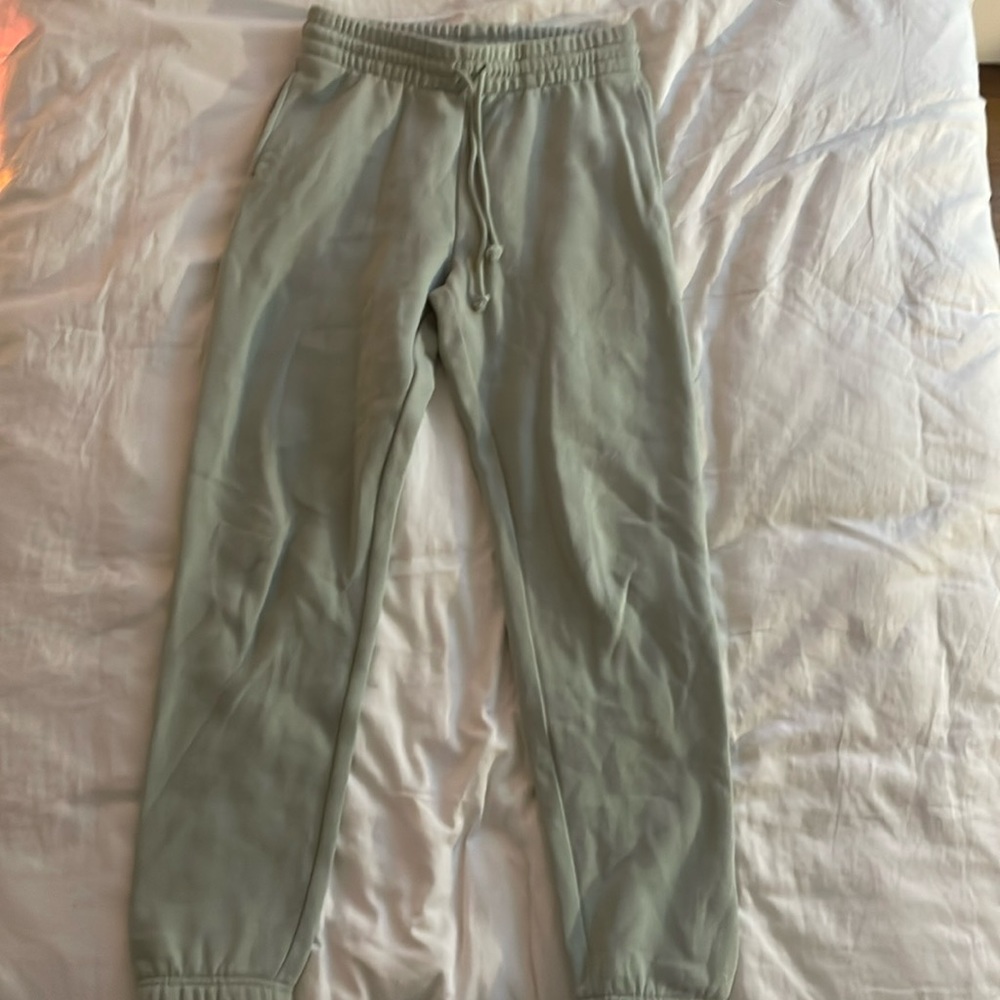 Aritzia Tna Cozy Fleece Perfect Sweatpants